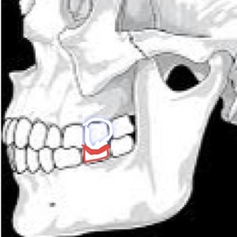 名古屋の歯医者の甲斐川歯科でレントゲンを撮った件